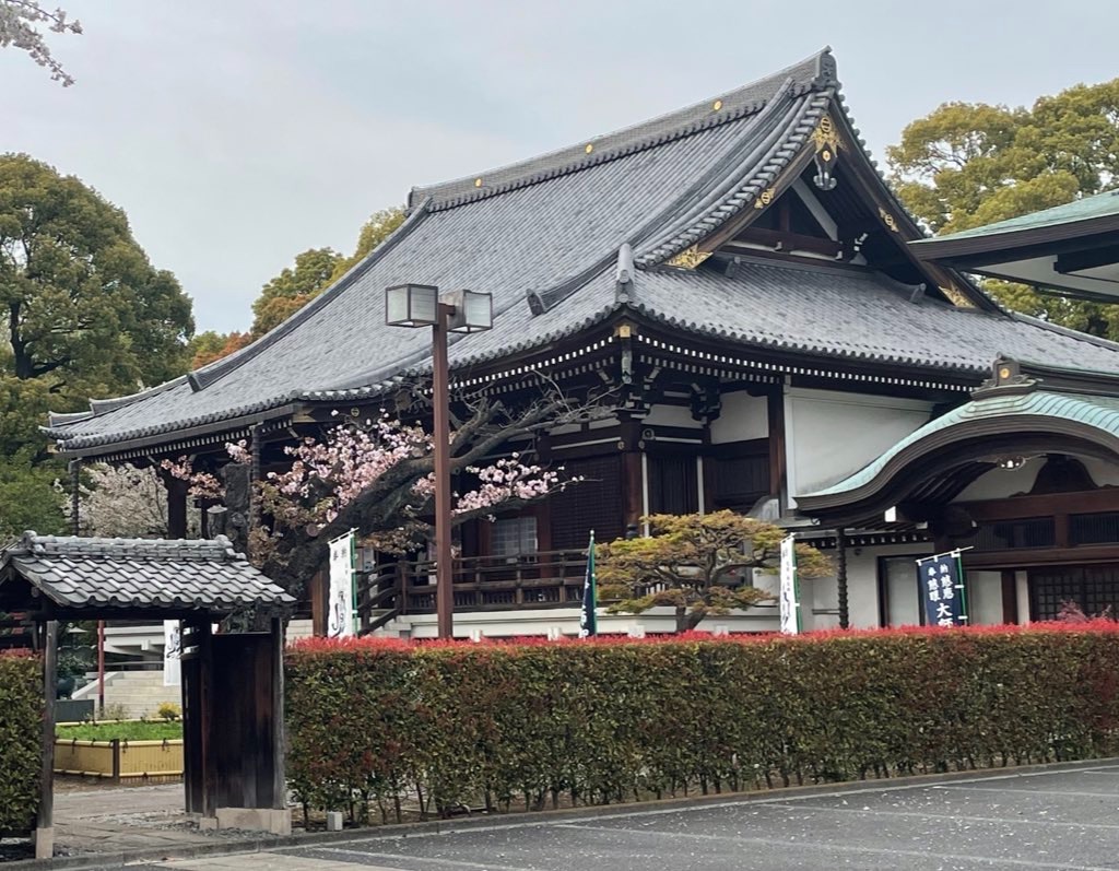 f:id:TokuheiKumagai:20250409111632j:image