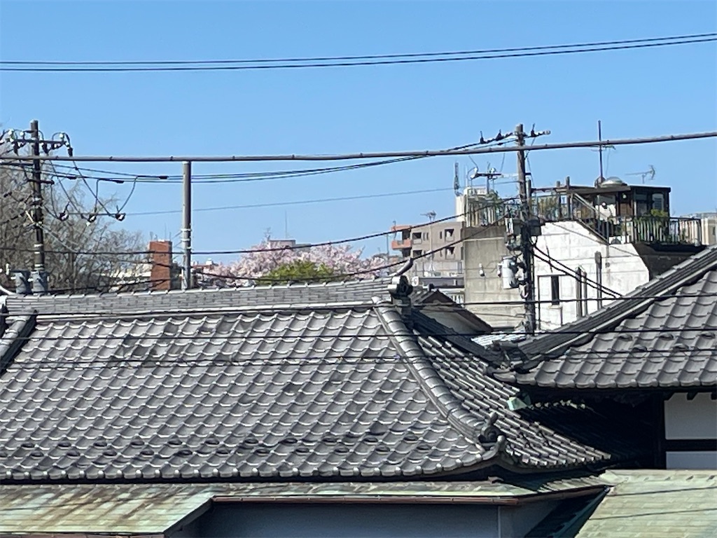 f:id:TokuheiKumagai:20250409121504j:image