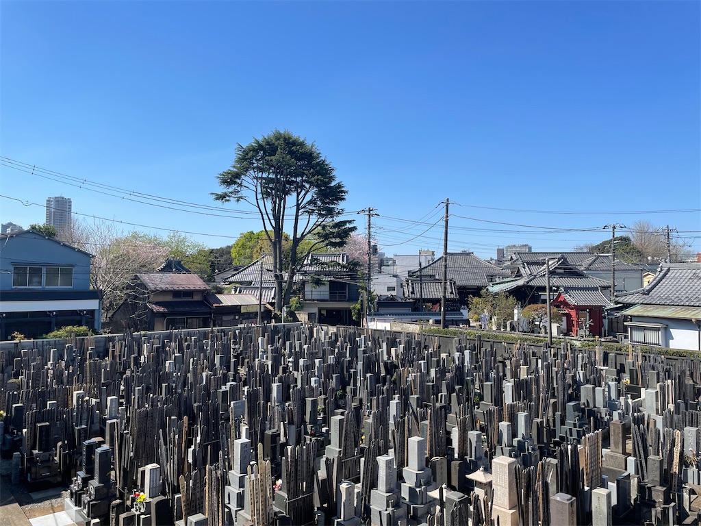 f:id:TokuheiKumagai:20250409121511j:image
