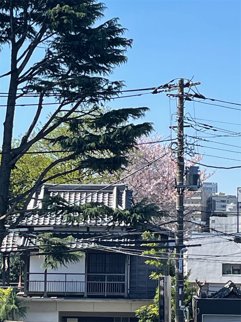 f:id:TokuheiKumagai:20250409121519j:image
