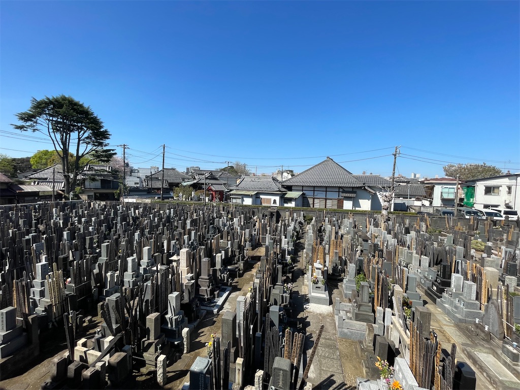 f:id:TokuheiKumagai:20250409121523j:image