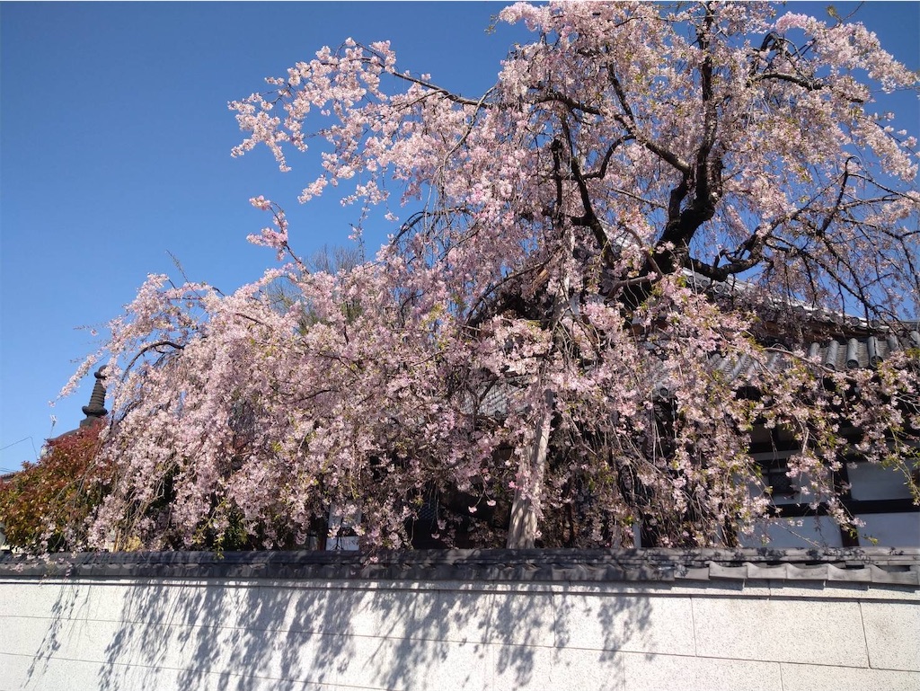 f:id:TokuheiKumagai:20250409162003j:image