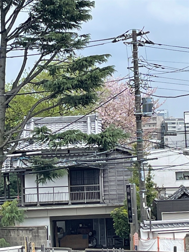 f:id:TokuheiKumagai:20250410140915j:image