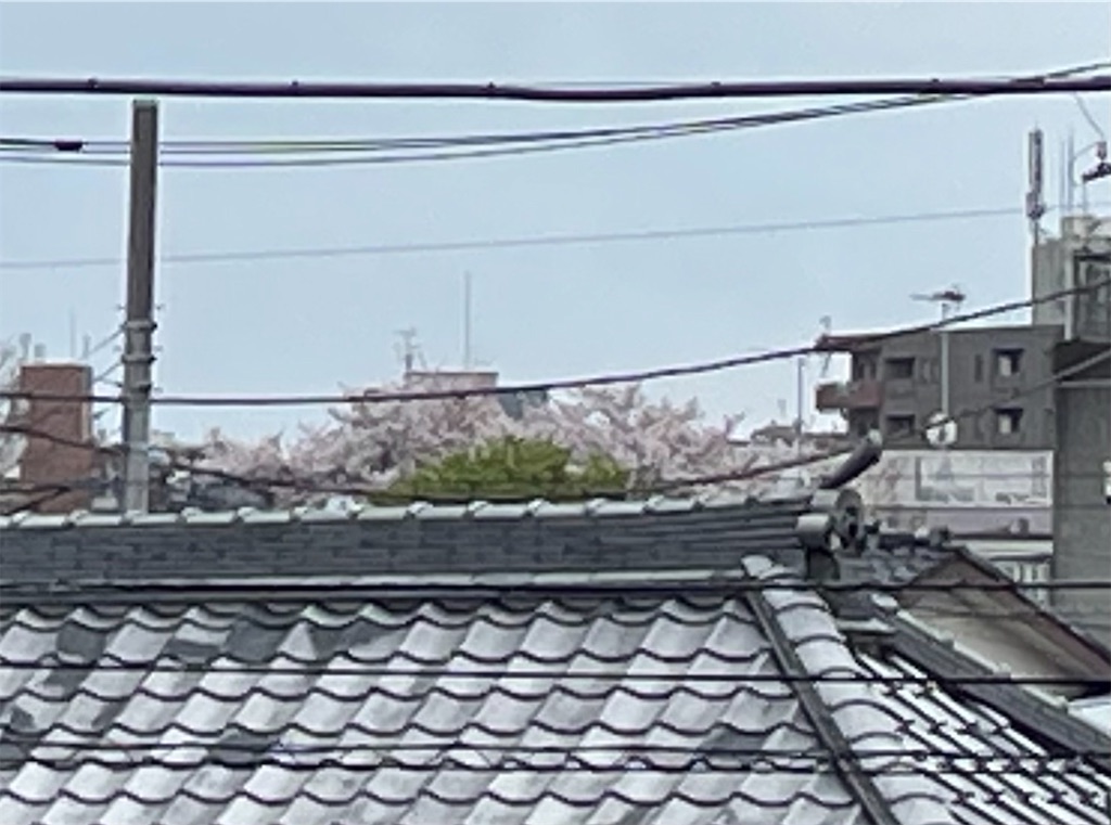 f:id:TokuheiKumagai:20250410140918j:image