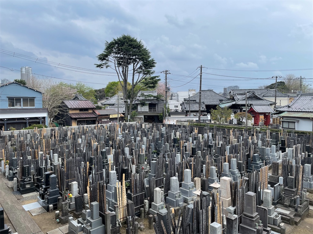 f:id:TokuheiKumagai:20250410140922j:image