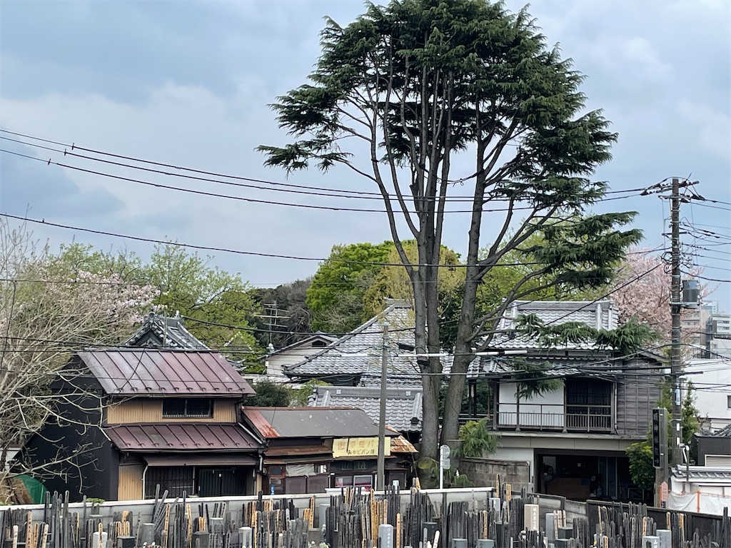 f:id:TokuheiKumagai:20250410140926j:image