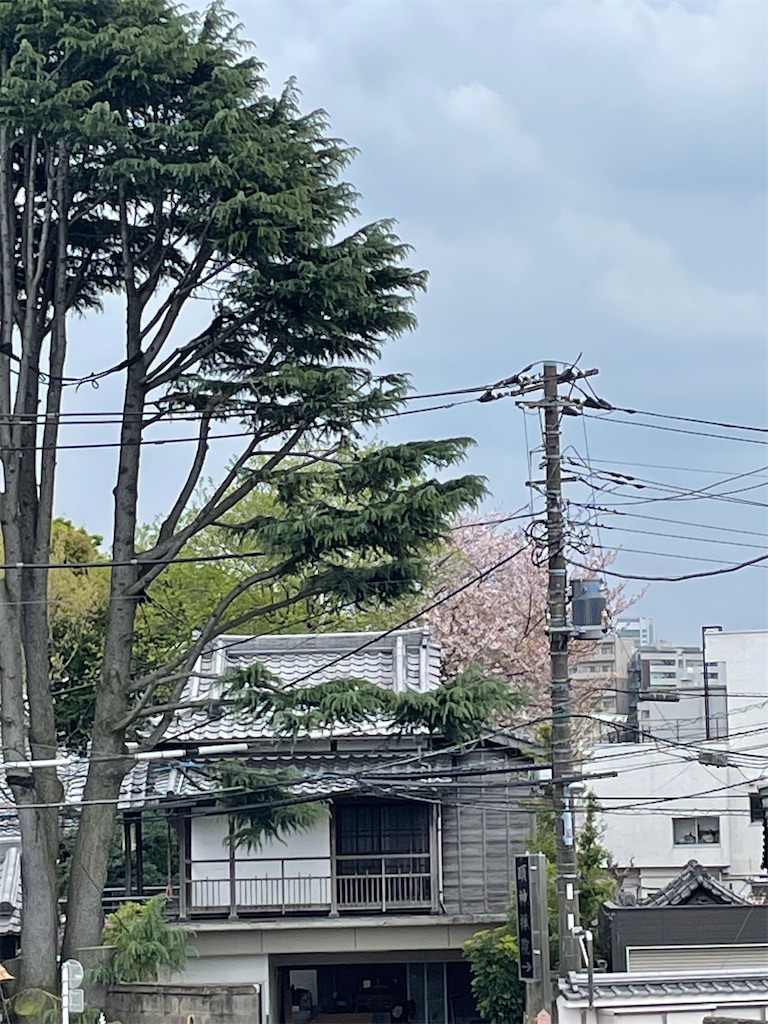 f:id:TokuheiKumagai:20250410140934j:image