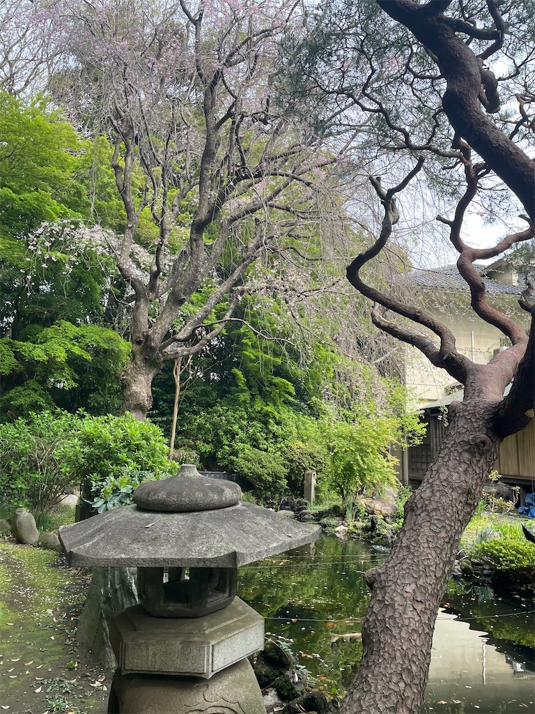 f:id:TokuheiKumagai:20250411175206j:image