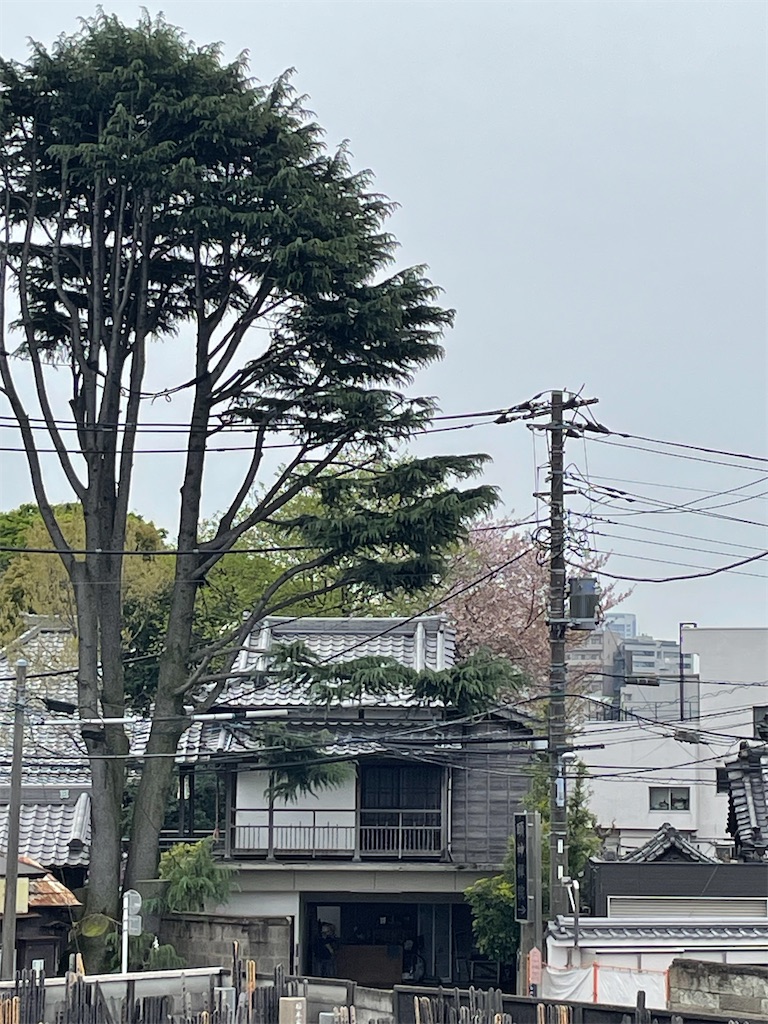 f:id:TokuheiKumagai:20250411175210j:image