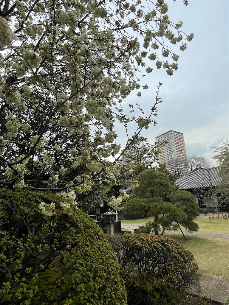 f:id:TokuheiKumagai:20250411175217j:image