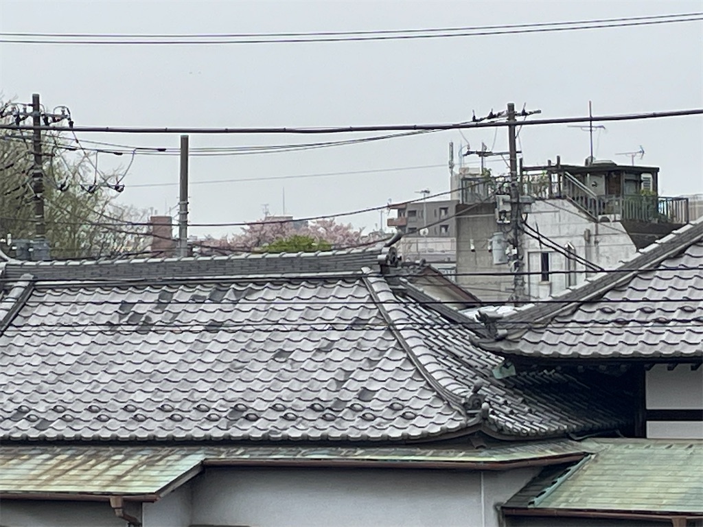 f:id:TokuheiKumagai:20250411175234j:image