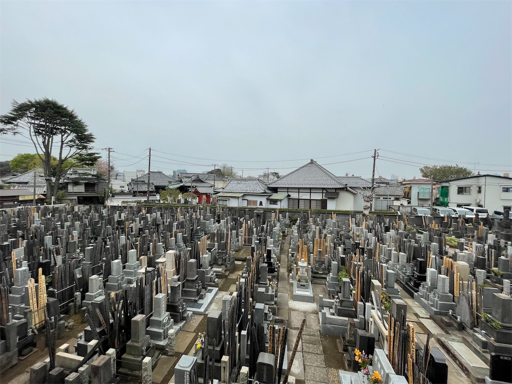 f:id:TokuheiKumagai:20250411175333j:image