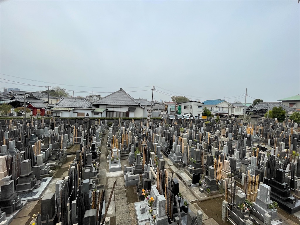 f:id:TokuheiKumagai:20250411175338j:image