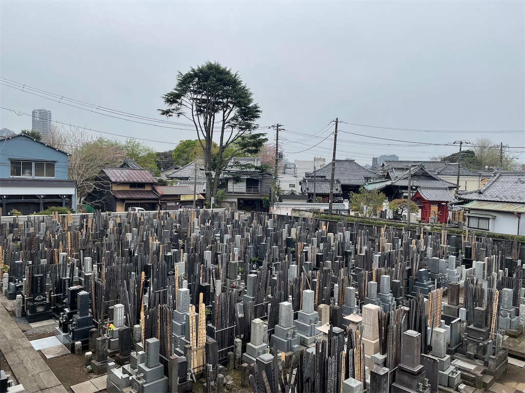 f:id:TokuheiKumagai:20250411175342j:image