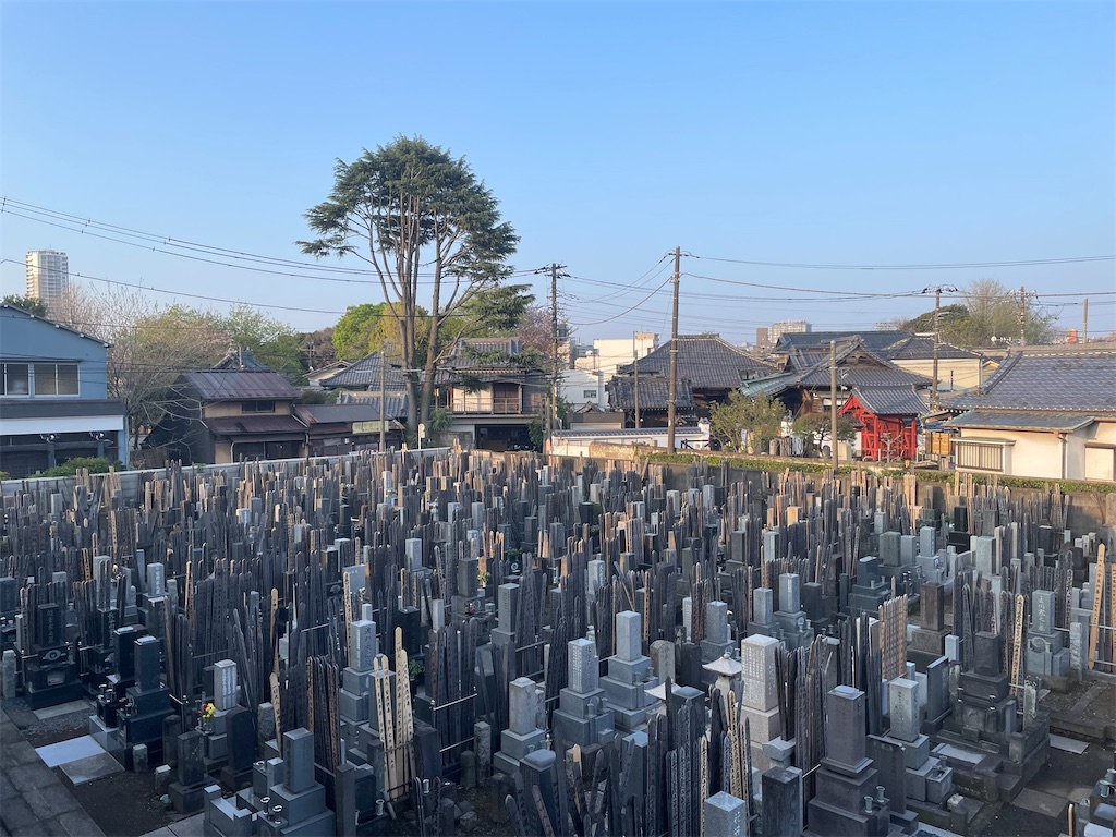 f:id:TokuheiKumagai:20250413001045j:image