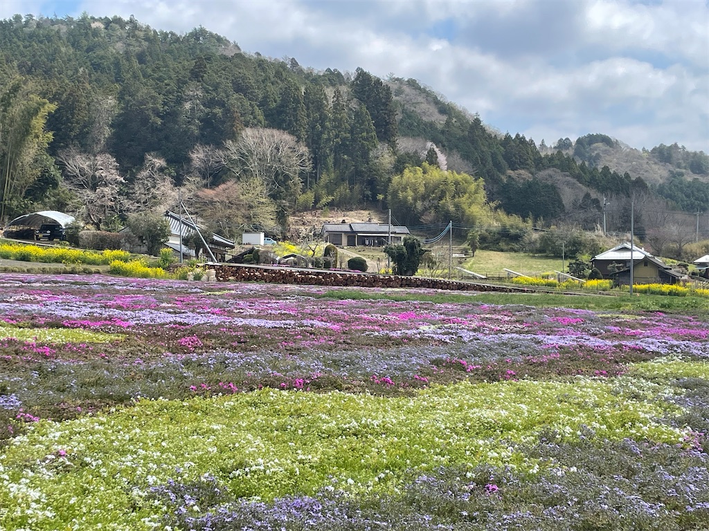 f:id:TokuheiKumagai:20250413001219j:image
