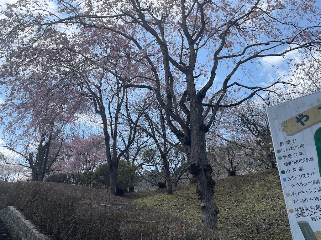 f:id:TokuheiKumagai:20250413001239j:image