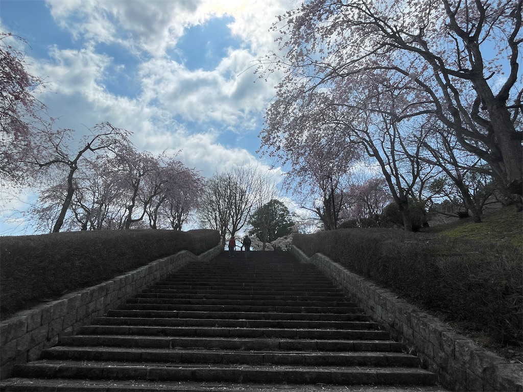 f:id:TokuheiKumagai:20250413001416j:image