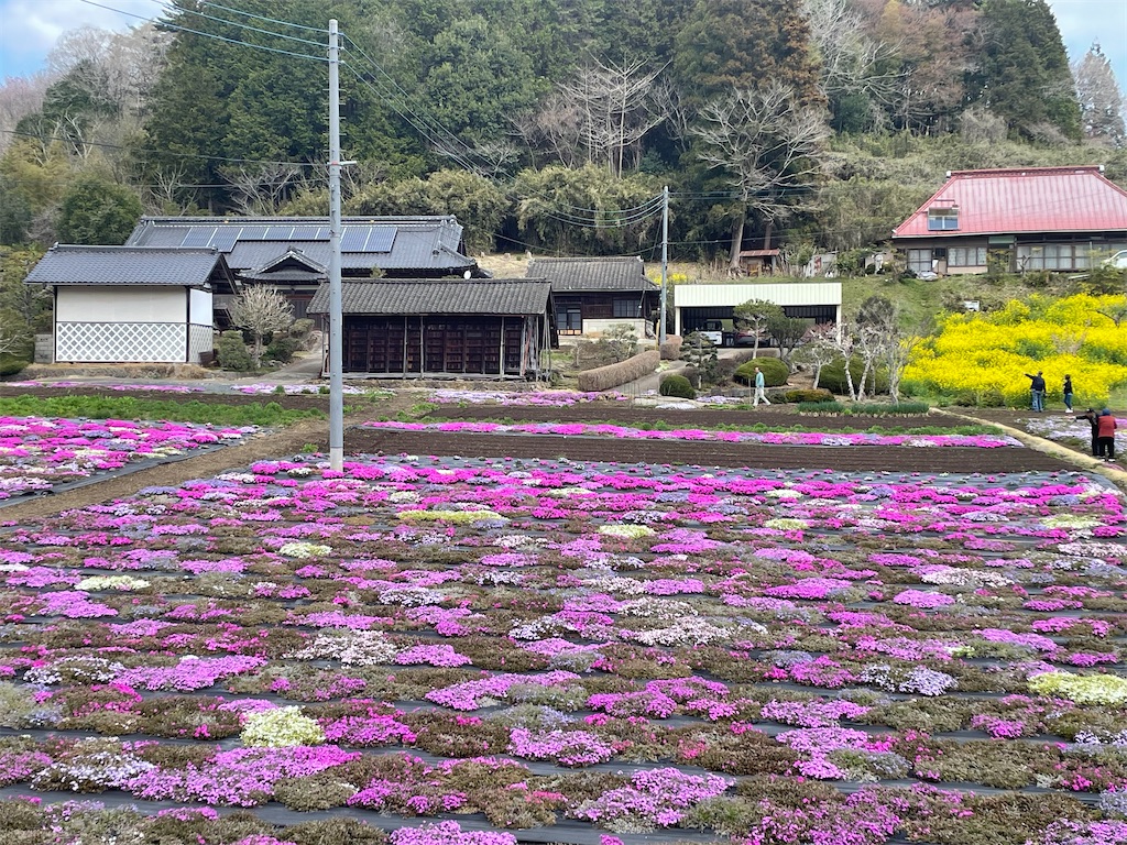 f:id:TokuheiKumagai:20250413001422j:image