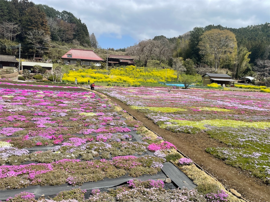 f:id:TokuheiKumagai:20250413001439j:image
