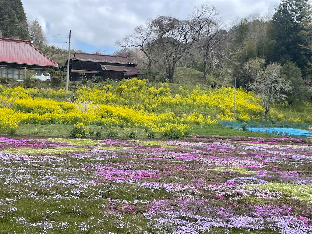 f:id:TokuheiKumagai:20250413095852j:image