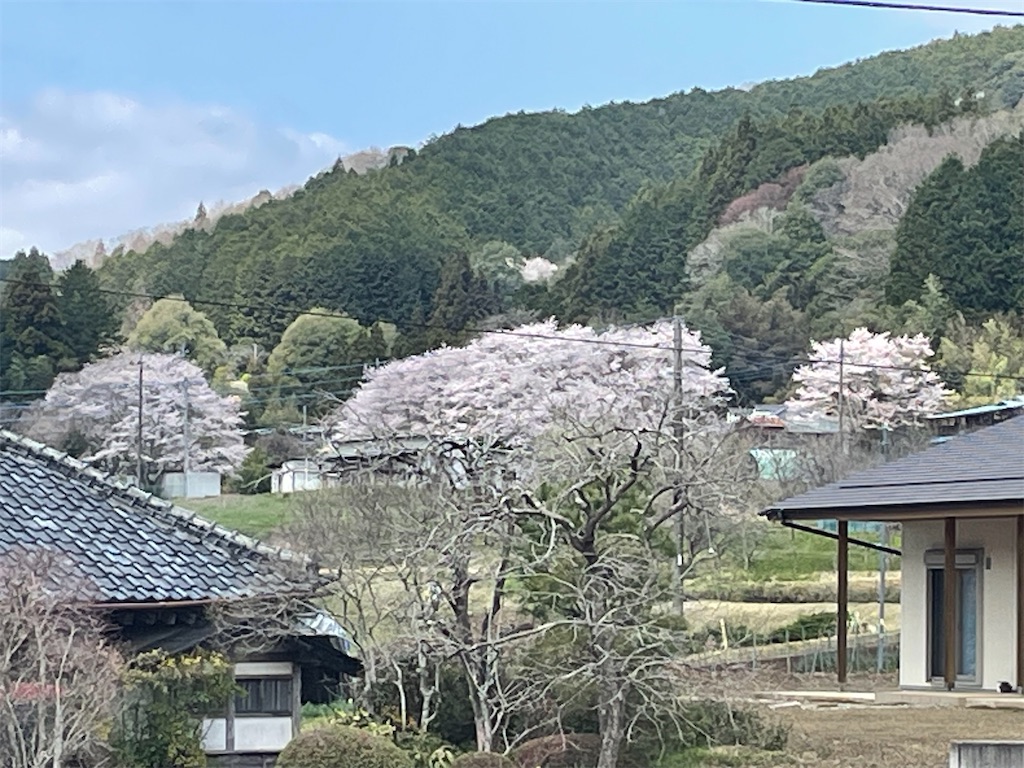 f:id:TokuheiKumagai:20250413095855j:image