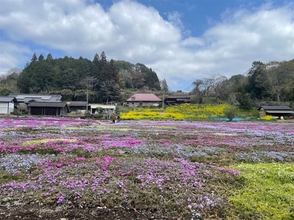 f:id:TokuheiKumagai:20250413095859j:image