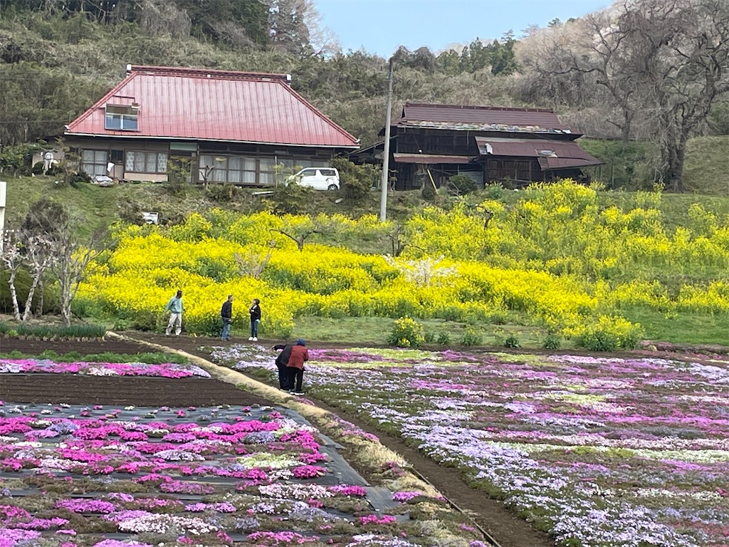 f:id:TokuheiKumagai:20250413095917j:image