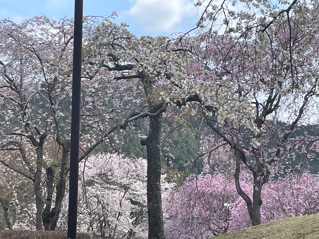 f:id:TokuheiKumagai:20250413100027j:image