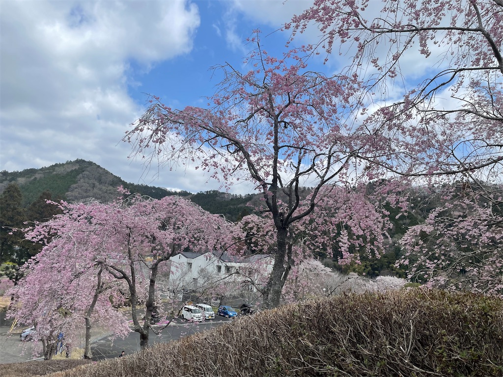 f:id:TokuheiKumagai:20250413100031j:image