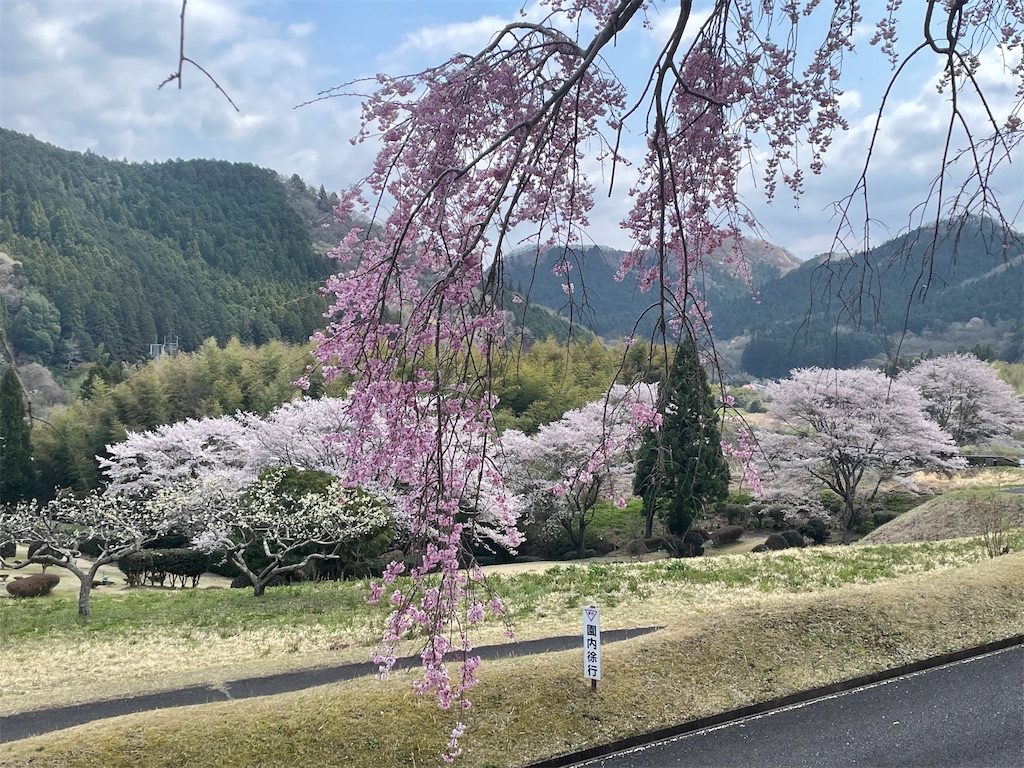 f:id:TokuheiKumagai:20250413100034j:image