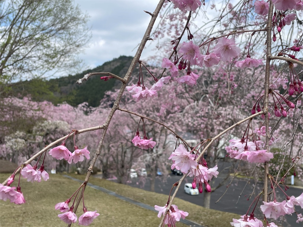 f:id:TokuheiKumagai:20250413100038j:image
