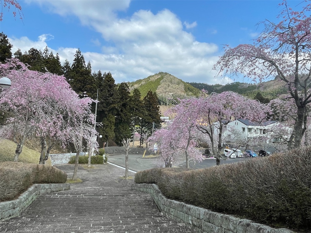 f:id:TokuheiKumagai:20250413100051j:image