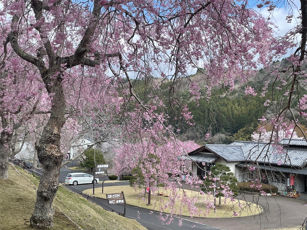 f:id:TokuheiKumagai:20250413100100j:image