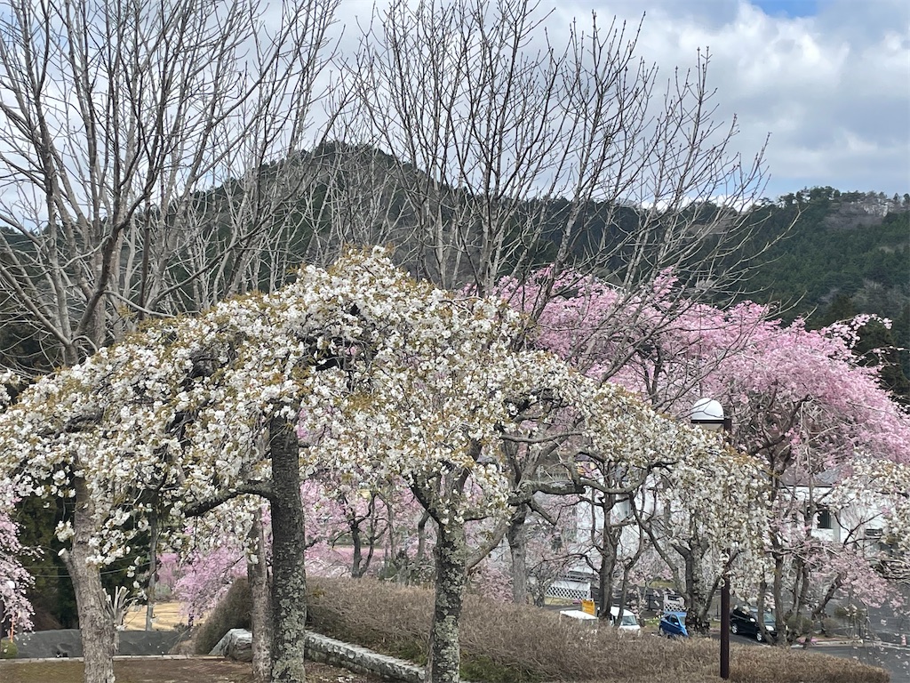 f:id:TokuheiKumagai:20250413100104j:image
