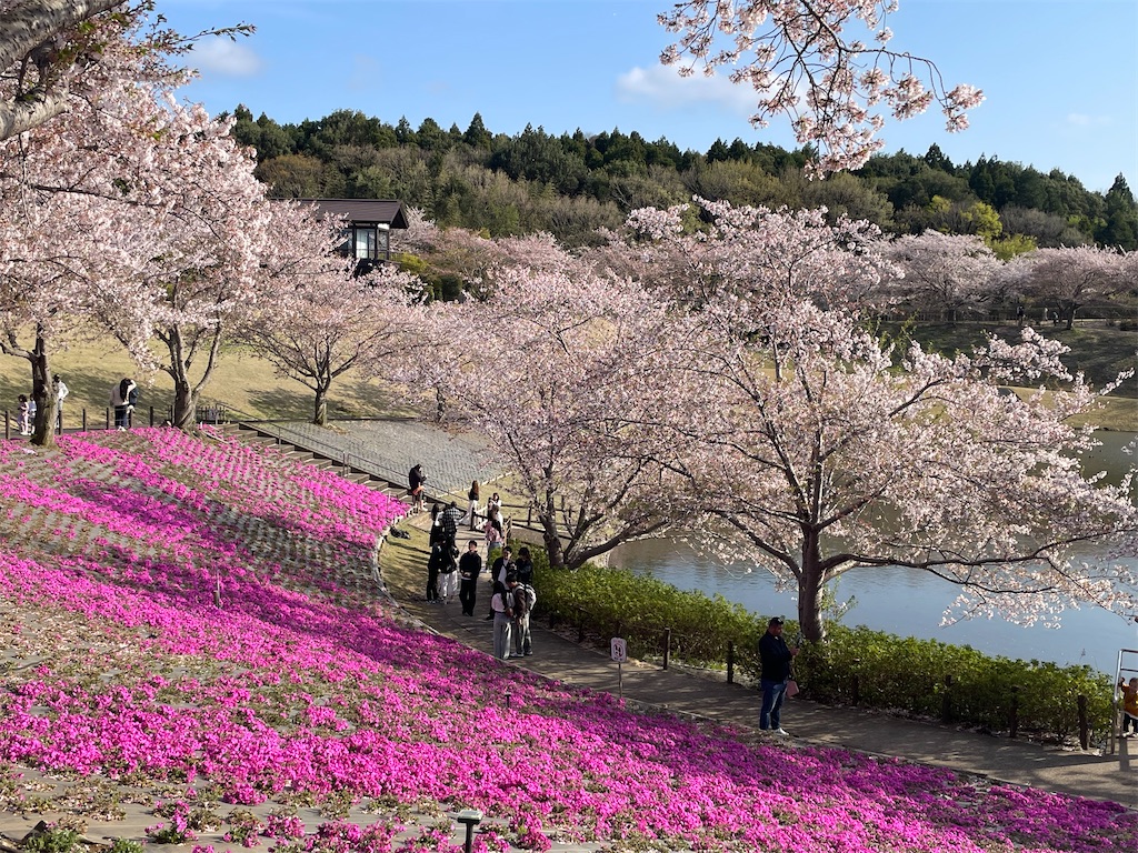 f:id:TokuheiKumagai:20250413101004j:image