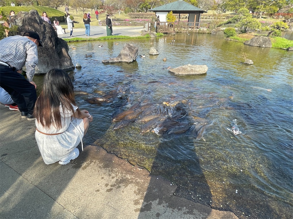 f:id:TokuheiKumagai:20250413101021j:image
