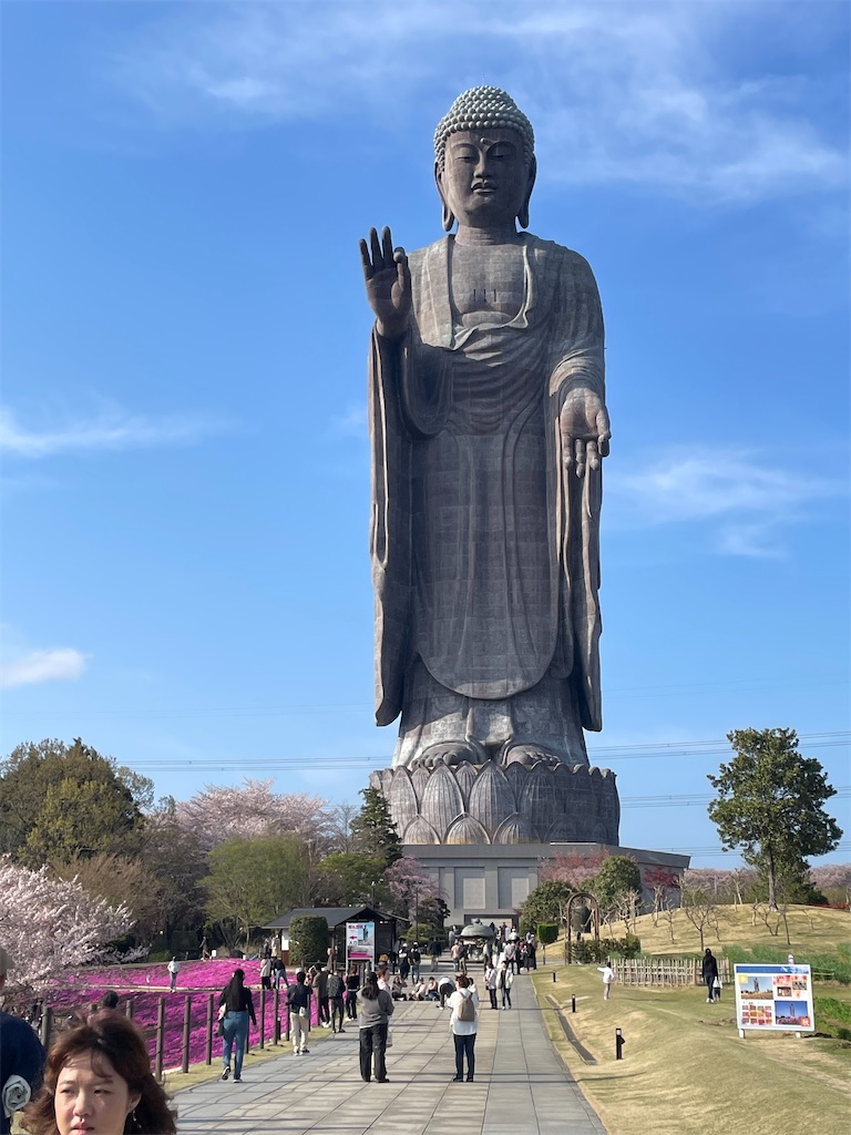 f:id:TokuheiKumagai:20250413101103j:image