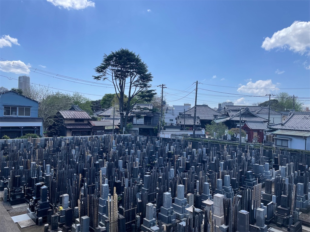 f:id:TokuheiKumagai:20250415150949j:image
