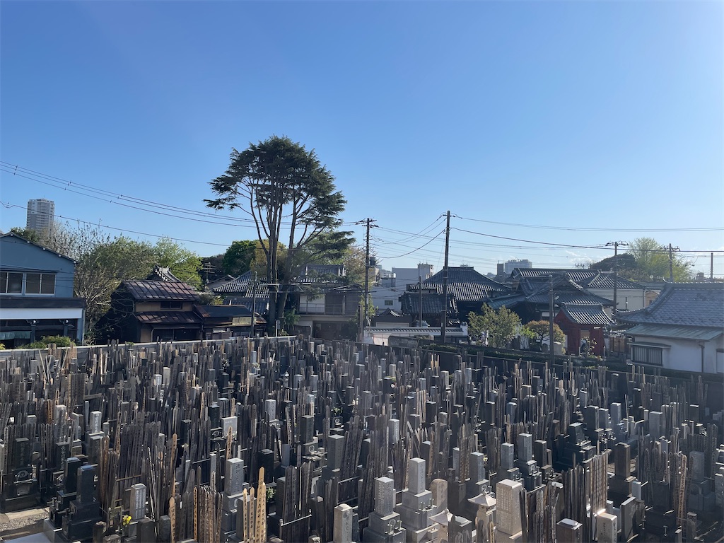 f:id:TokuheiKumagai:20250416155818j:image