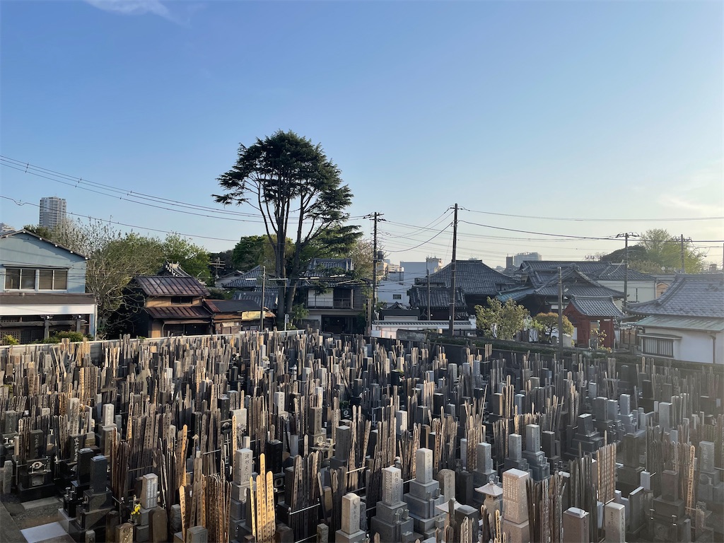 f:id:TokuheiKumagai:20250418004108j:image