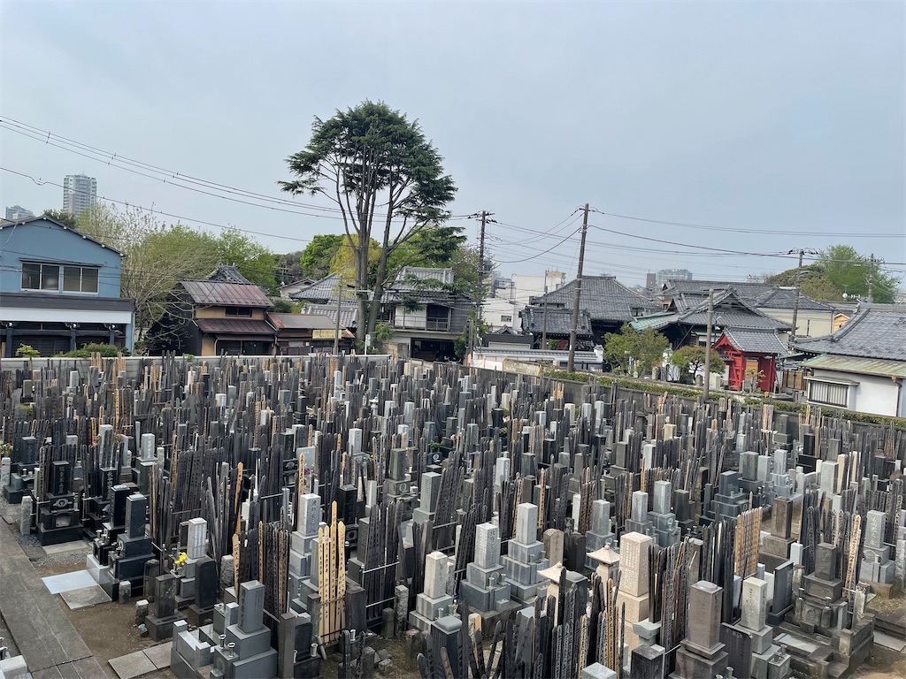 f:id:TokuheiKumagai:20250418123343j:image
