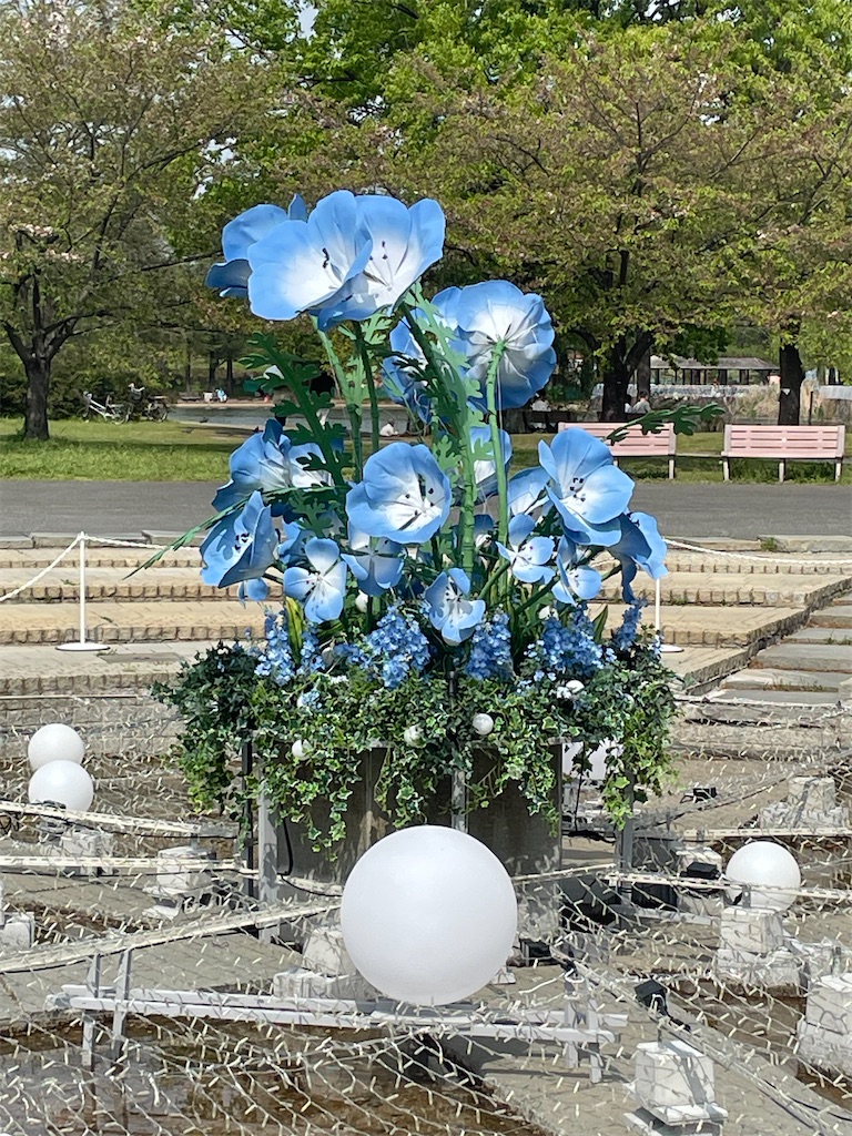 f:id:TokuheiKumagai:20250418174132j:image