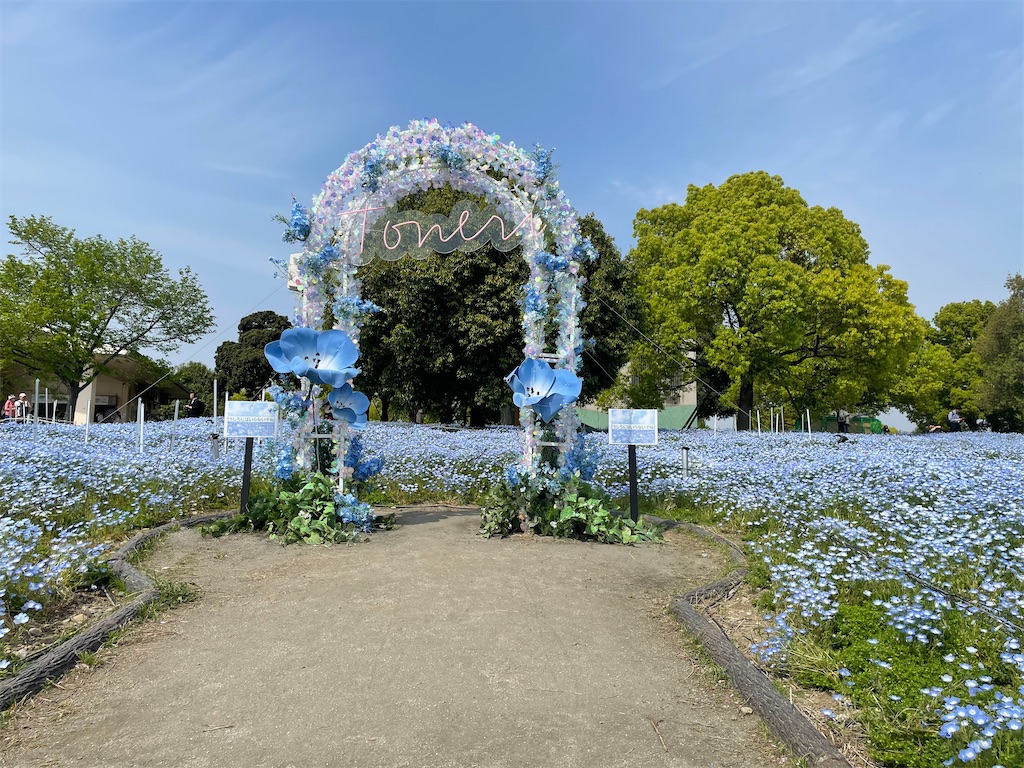 f:id:TokuheiKumagai:20250418174153j:image