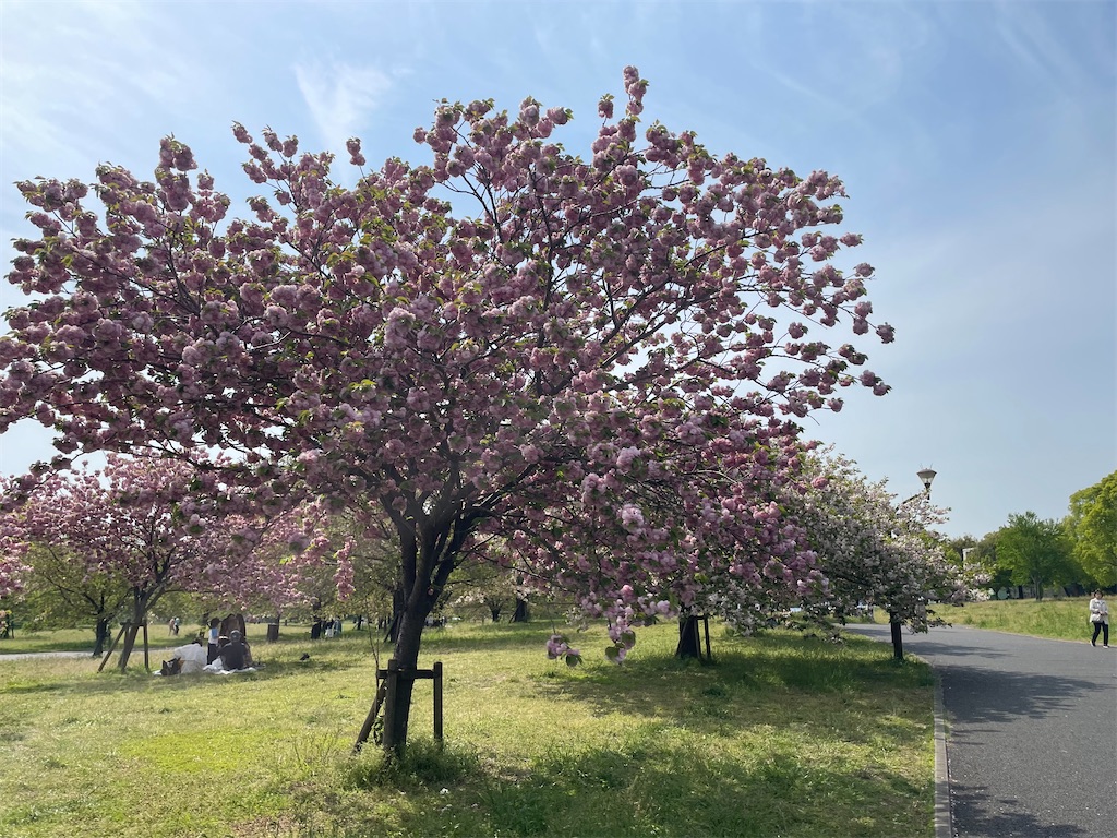 f:id:TokuheiKumagai:20250418174215j:image