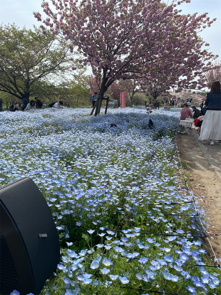 f:id:TokuheiKumagai:20250418174226j:image