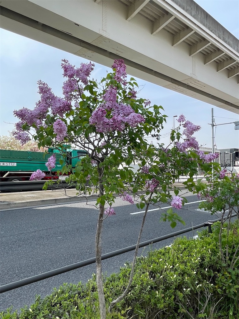f:id:TokuheiKumagai:20250418174232j:image