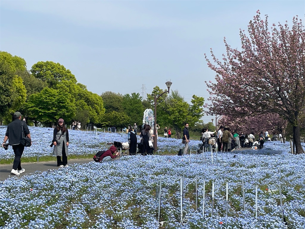 f:id:TokuheiKumagai:20250418174239j:image