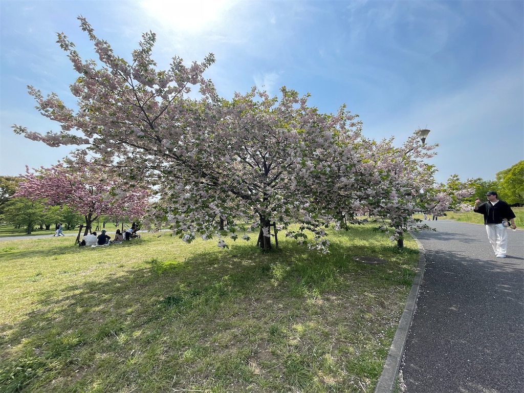 f:id:TokuheiKumagai:20250418174250j:image