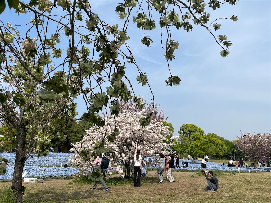 f:id:TokuheiKumagai:20250418174253j:image